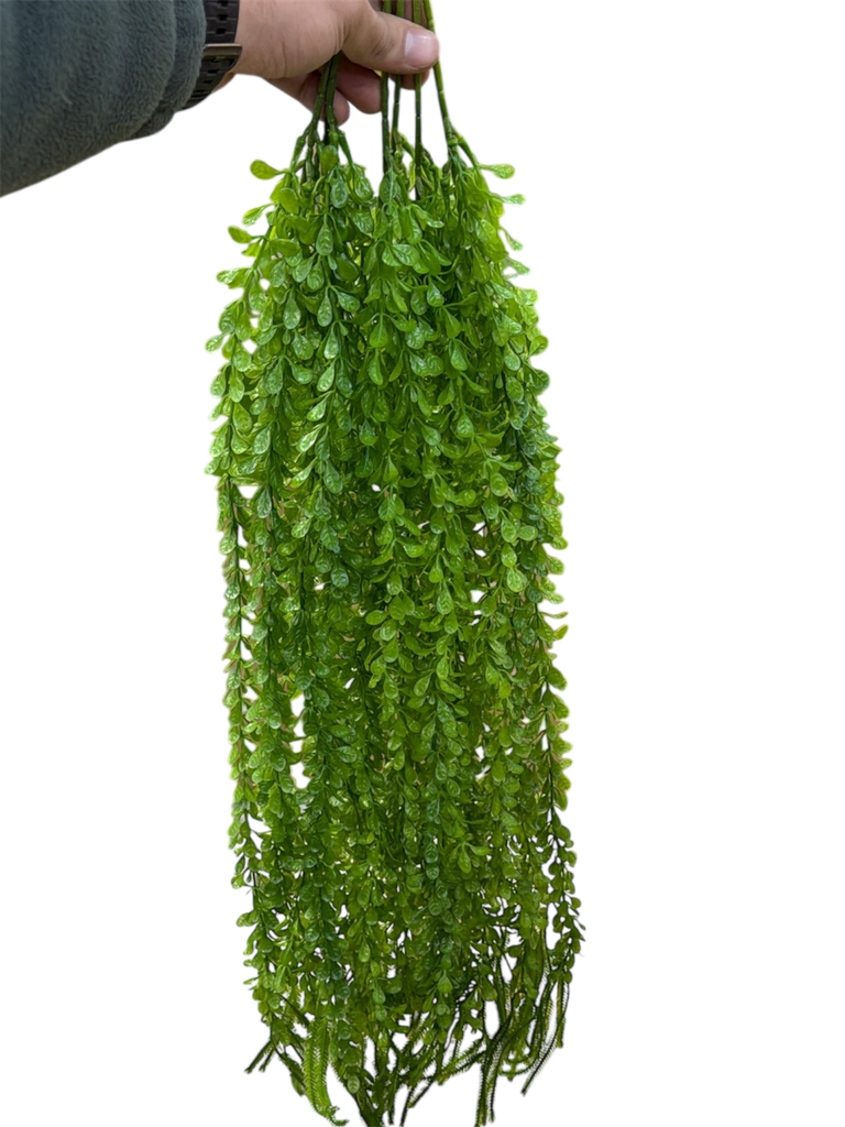 شۆرەبی