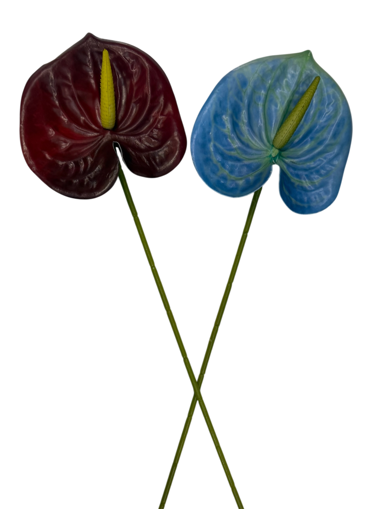 Anthurium