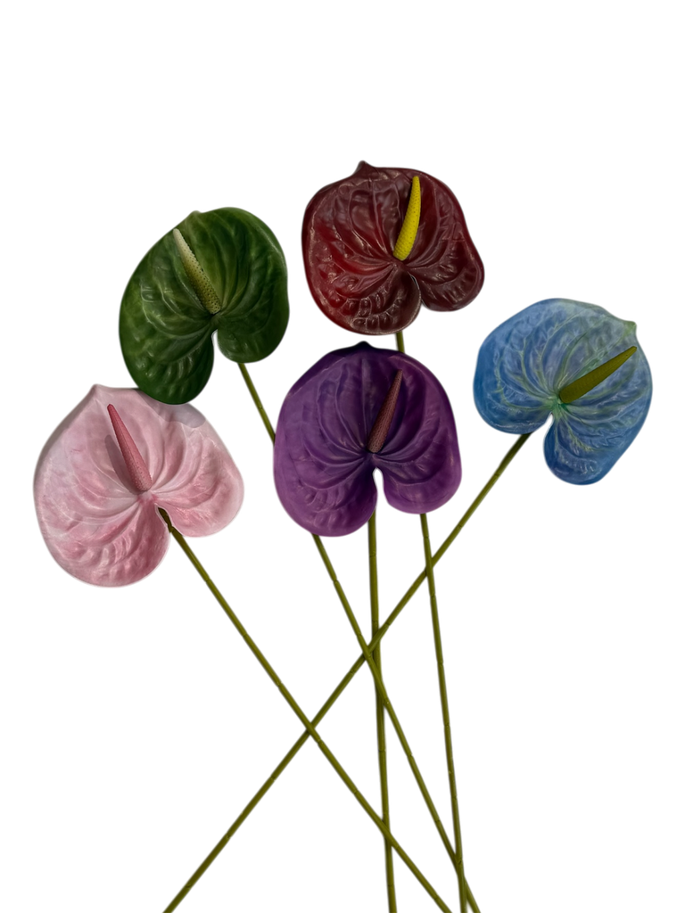 Anthurium