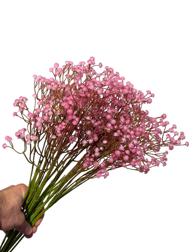 Pink Gypsophila