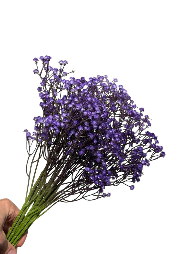 Purple Gypsophila
