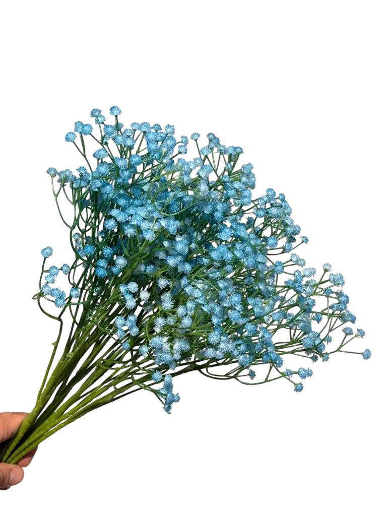 Blue Gypsophila