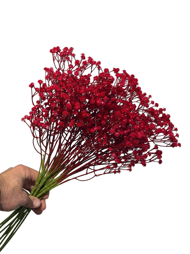Red Gypsophila