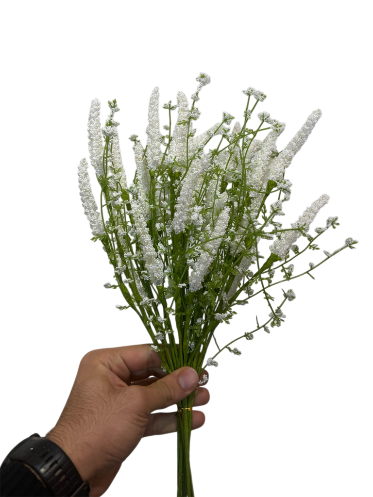 White Lavender