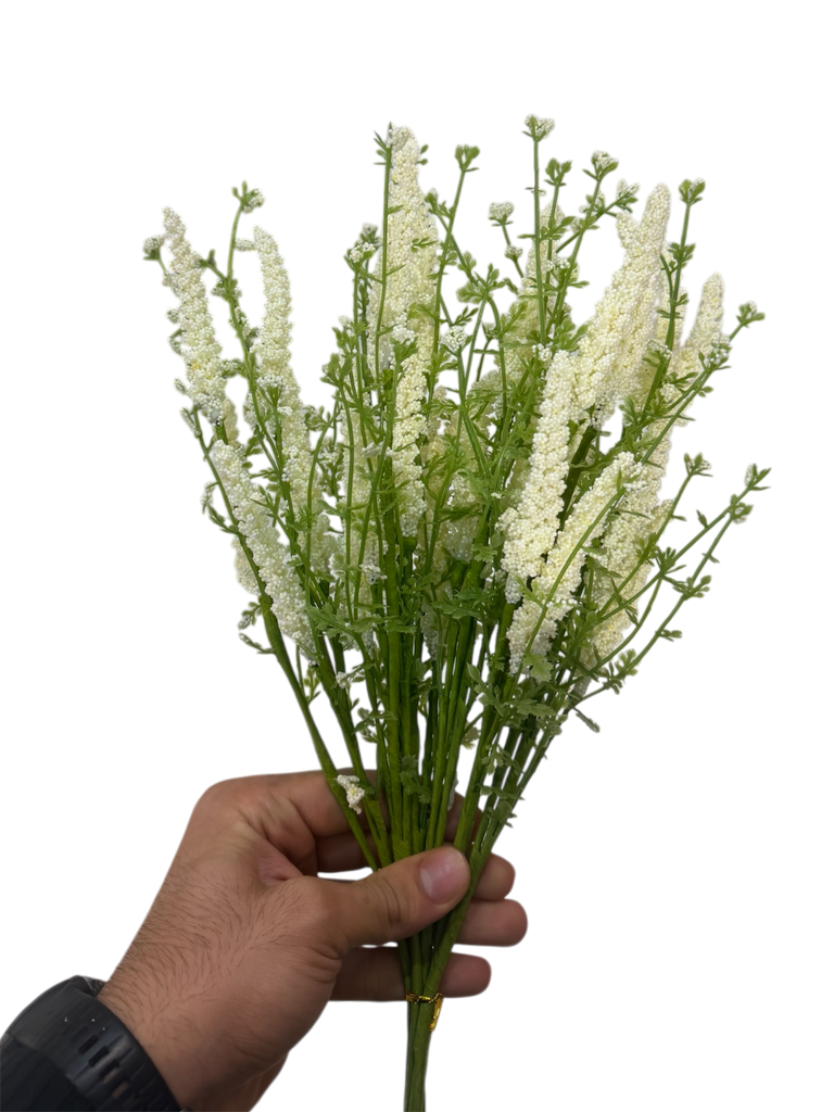 White Lavender