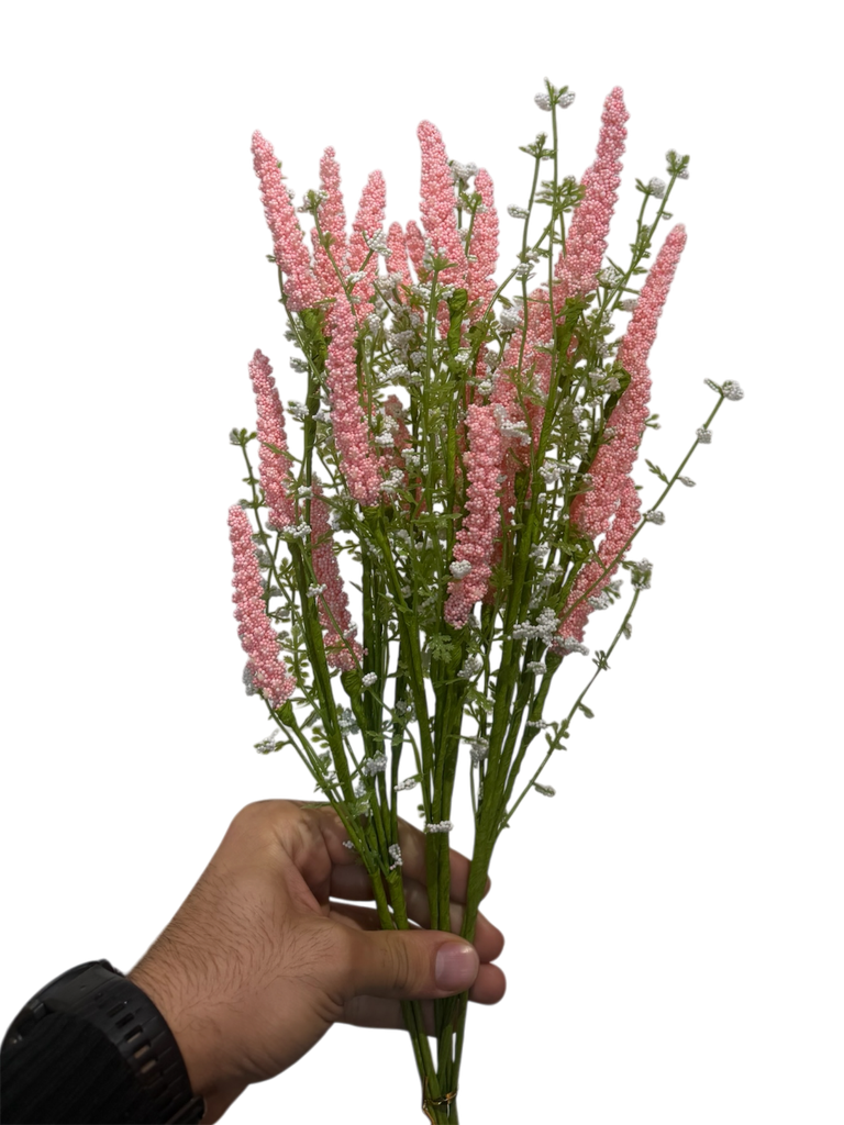 لاڤێندەری پەمەیی