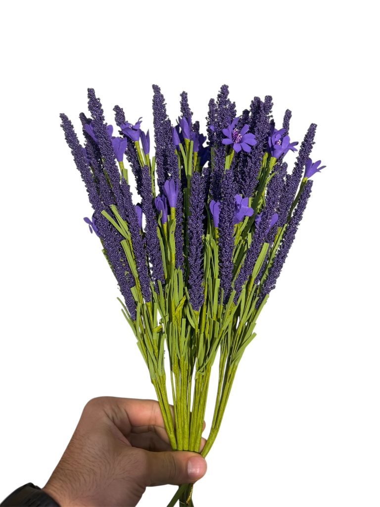 Purple Lavender