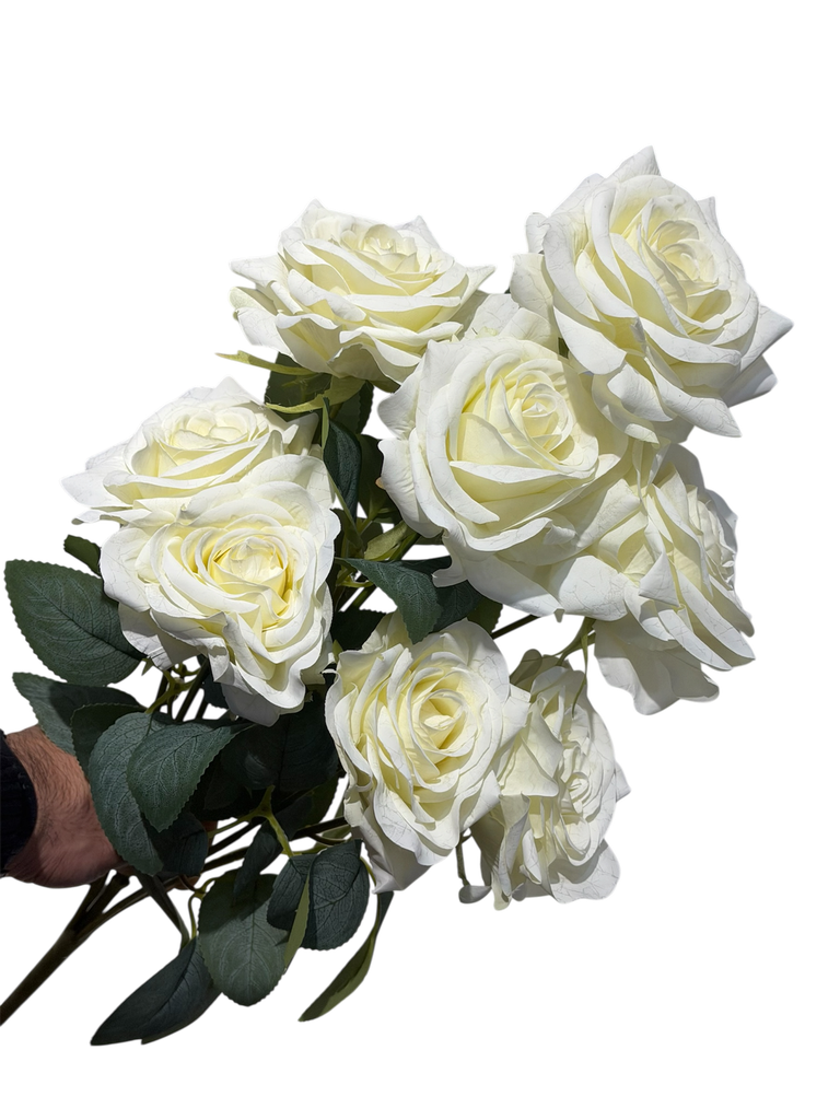 Large White Rose
