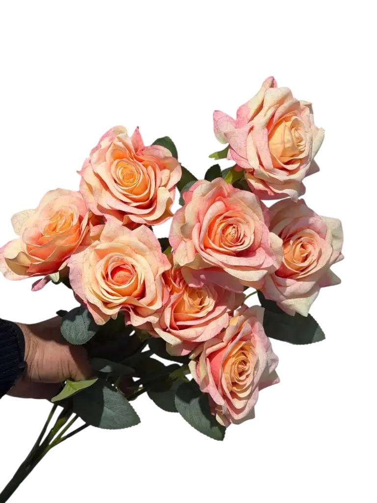 Large Faded Orange Rose