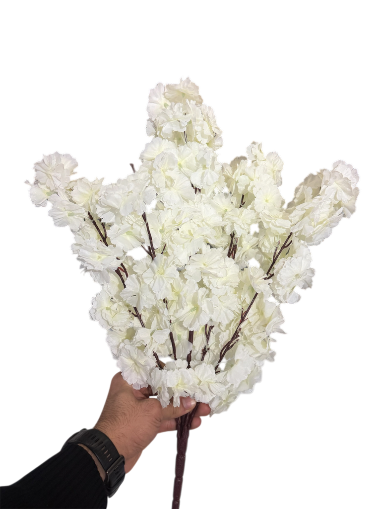 کلکی ڕێوی کرێمی