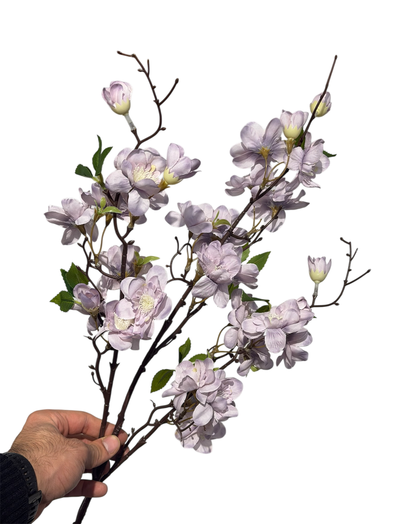 گوڵی گێلاسی مۆر