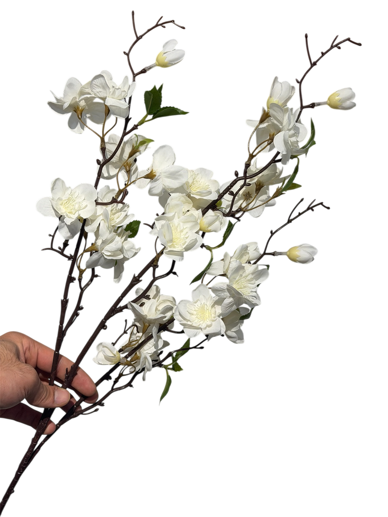 Creamy Cherry Blossom