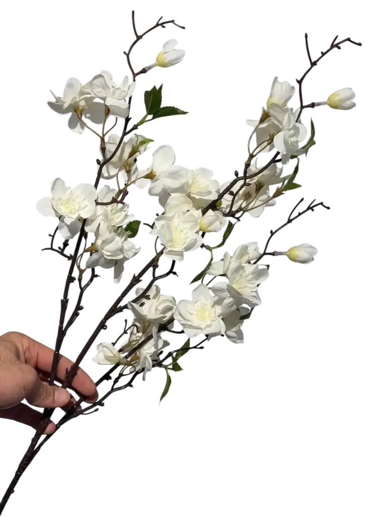 Creamy Cherry Blossom