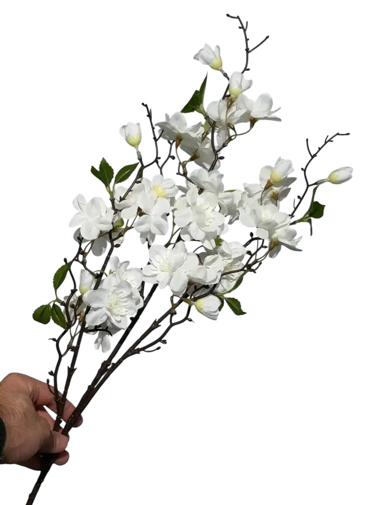 White Cherry Blossom