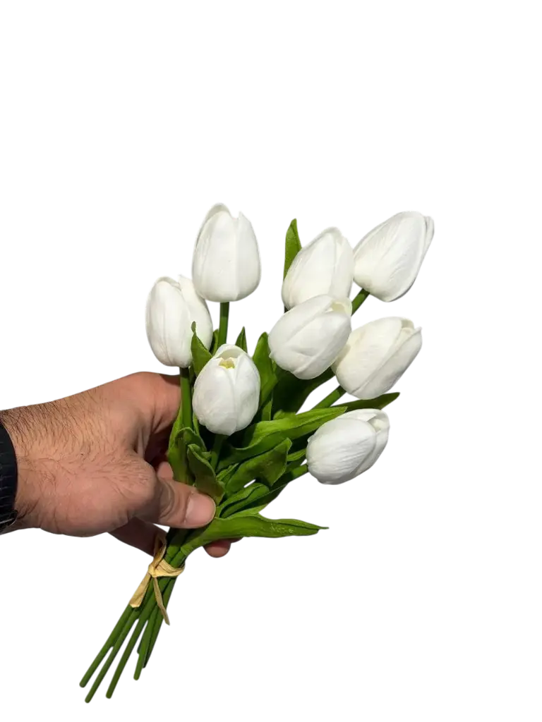 =_xlfn.TRANSLATE(C18,"en","ar")