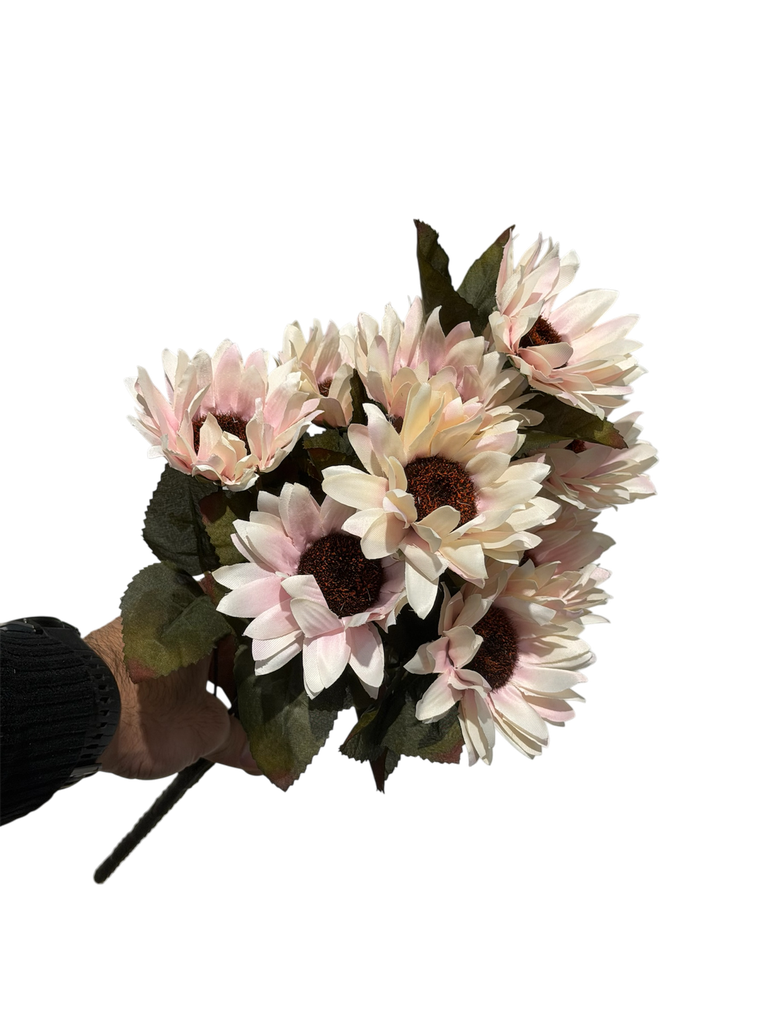 چەپکی گوڵەبەڕۆژە پەمبە