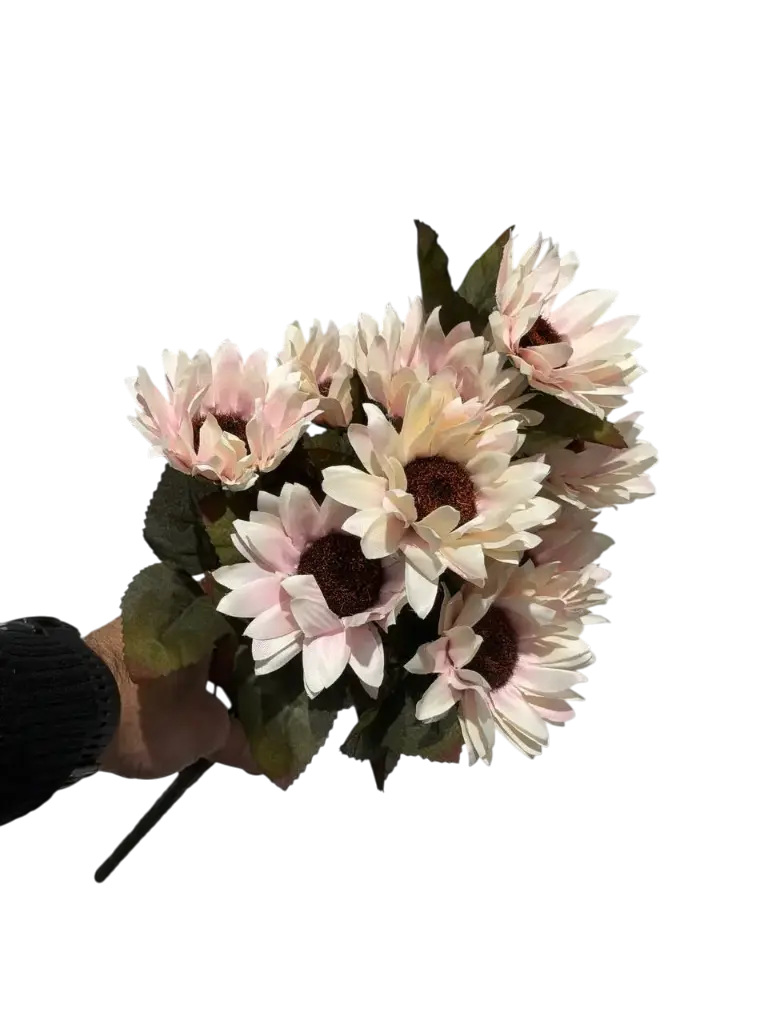 چەپکی گوڵەبەڕۆژە پەمبە