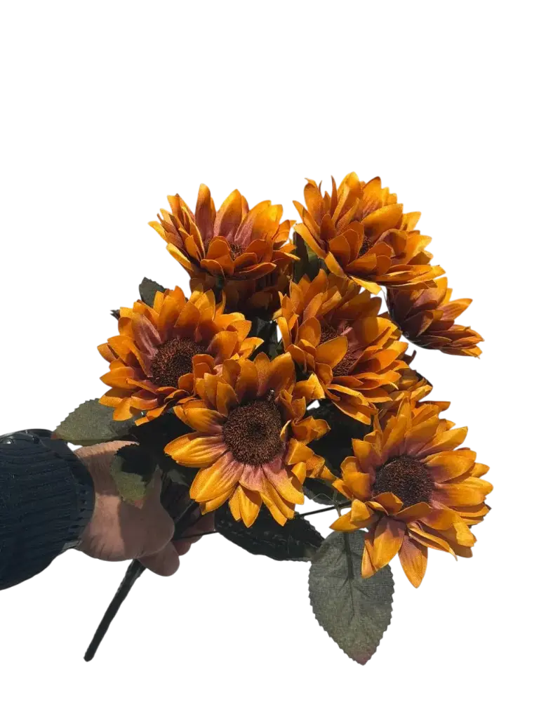 چەپکی گوڵەبەڕۆژە پرتەقاڵی