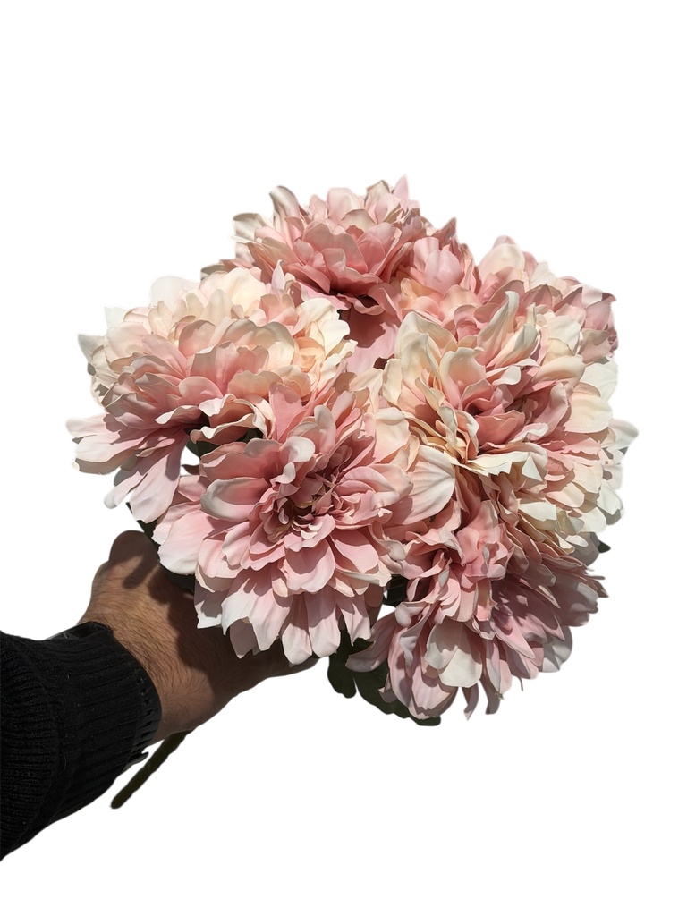 pink gerbera flower