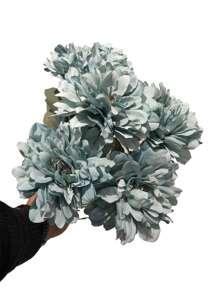 چەپکی جەربێرە فەیروزی