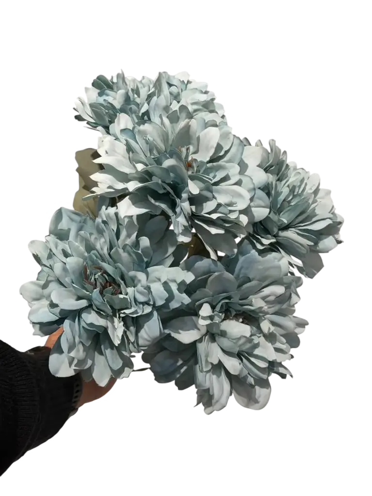 blue  gerbera flower