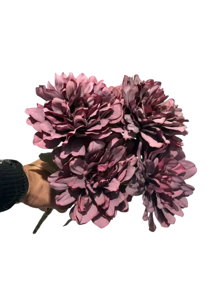 =_xlfn.TRANSLATE(C26,"en","ar")