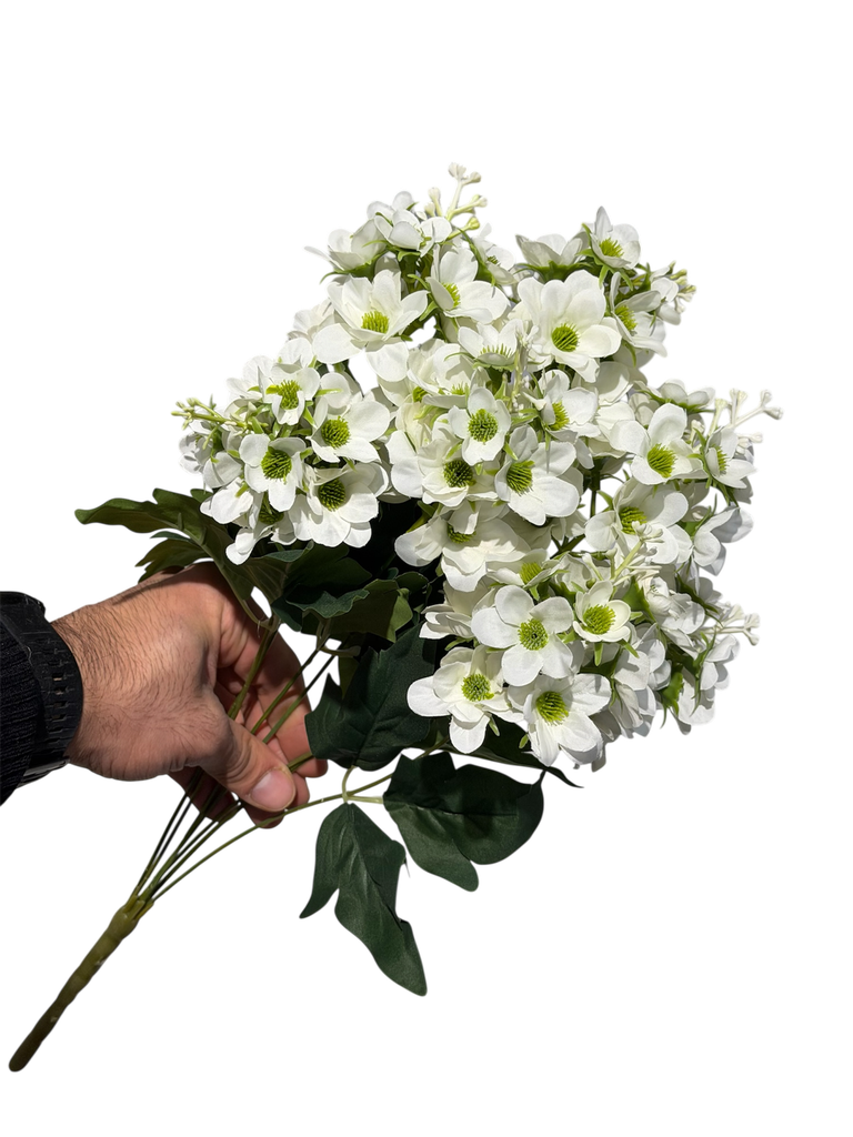 چەپکی بەیبون سپی