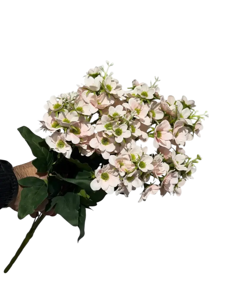 چەپکی بەیبون  پەمبە