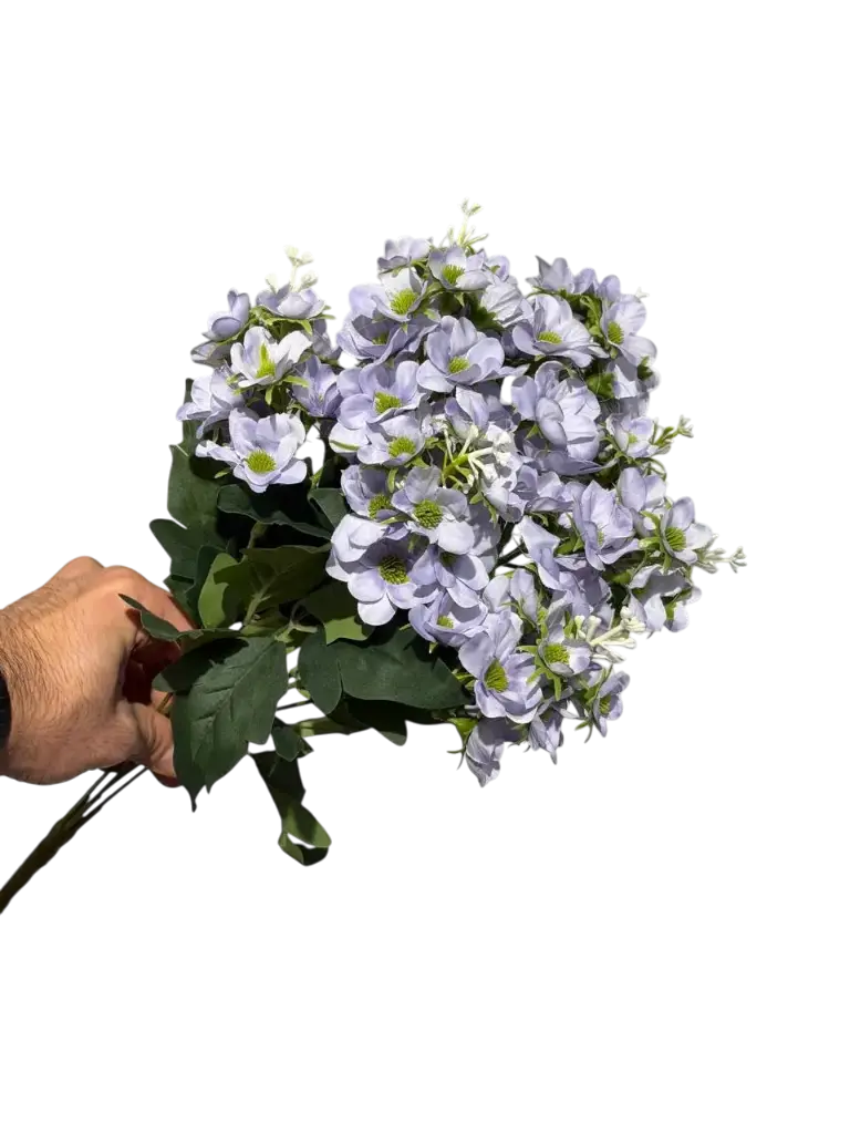 چەپکی بەیبون  مۆر