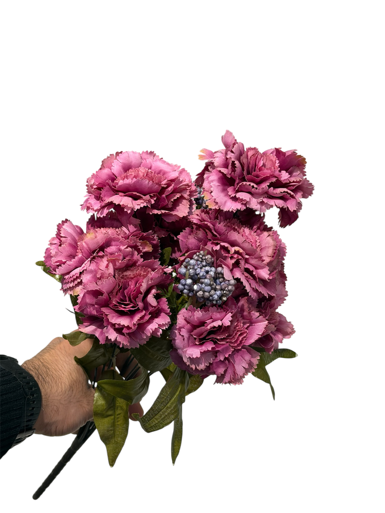 burgundy carnation flower