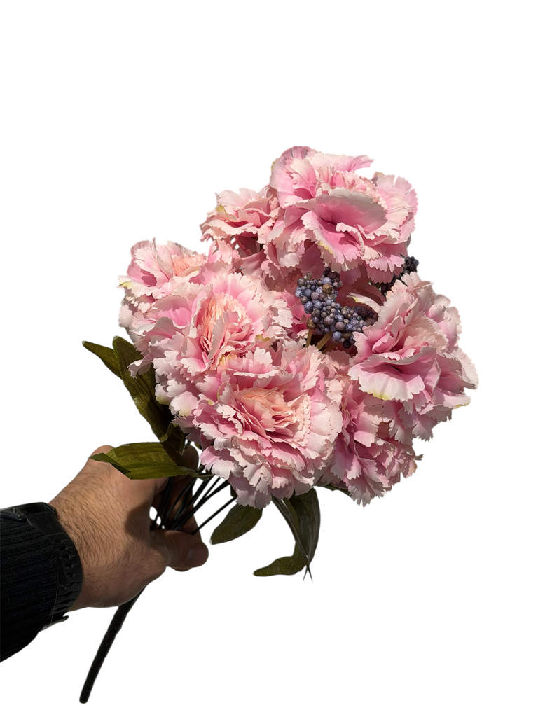 زهرة القرنفل الوردية