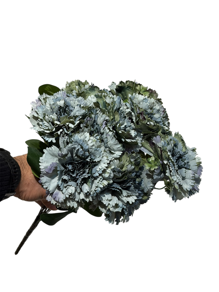 blue carnation flower