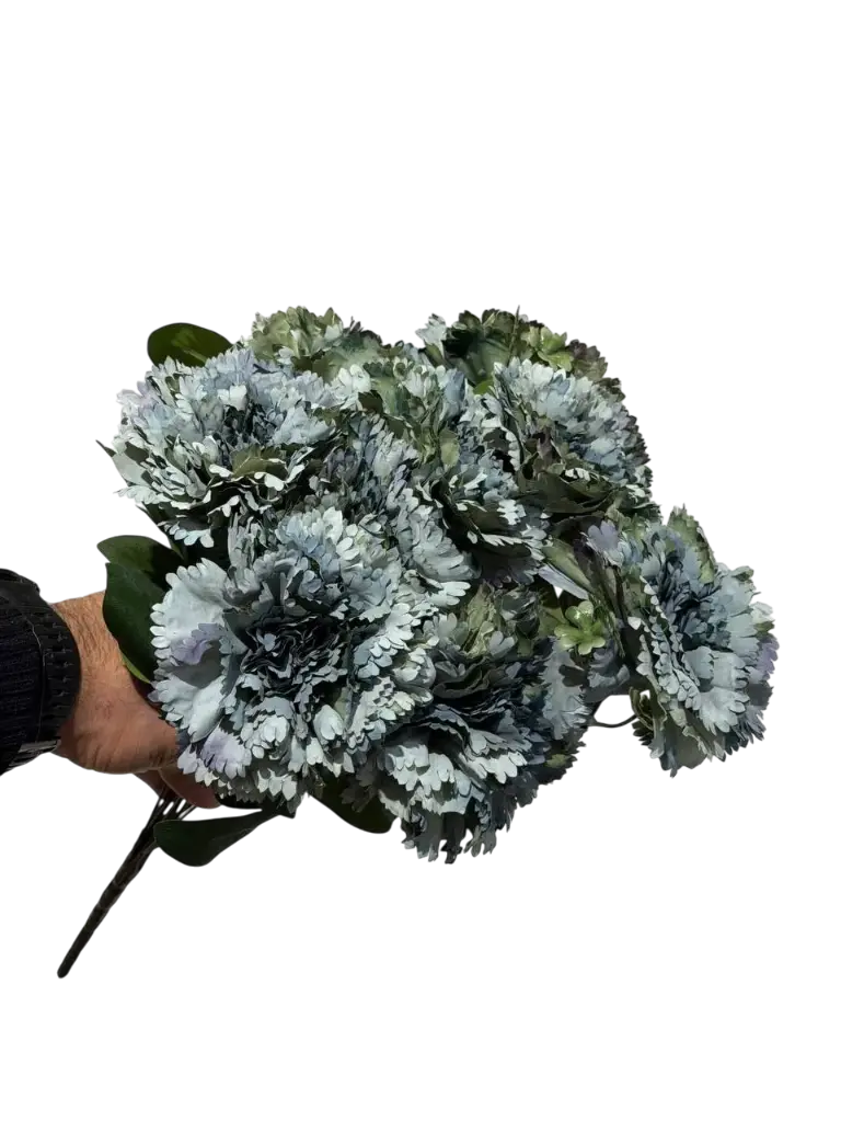 blue carnation flower