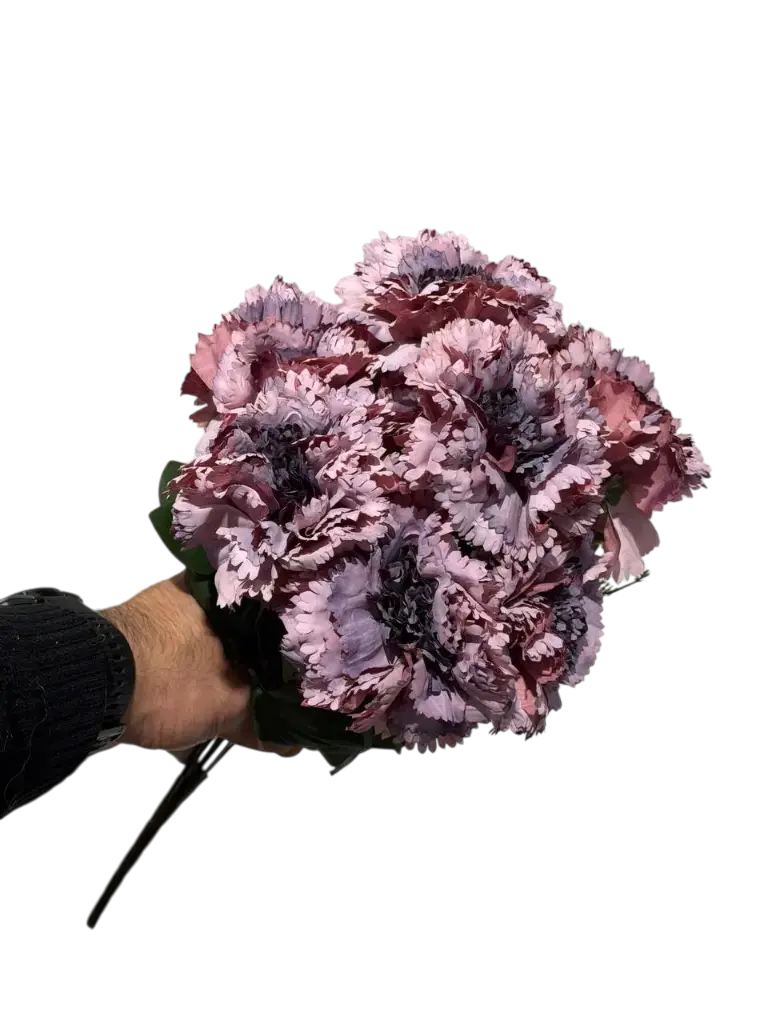 purple carnation flower