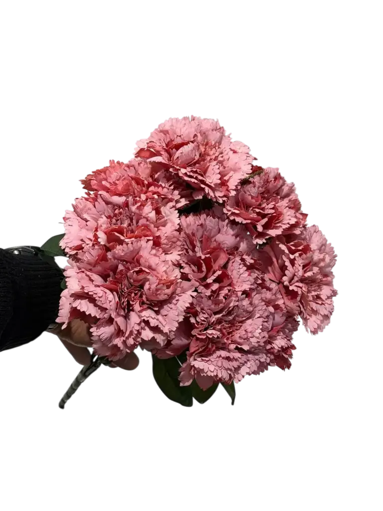 چەپکی قەنەفر پەمبە