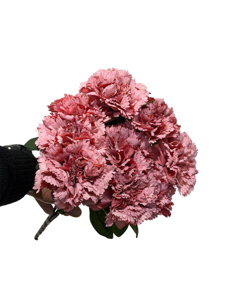 pink carnation flower