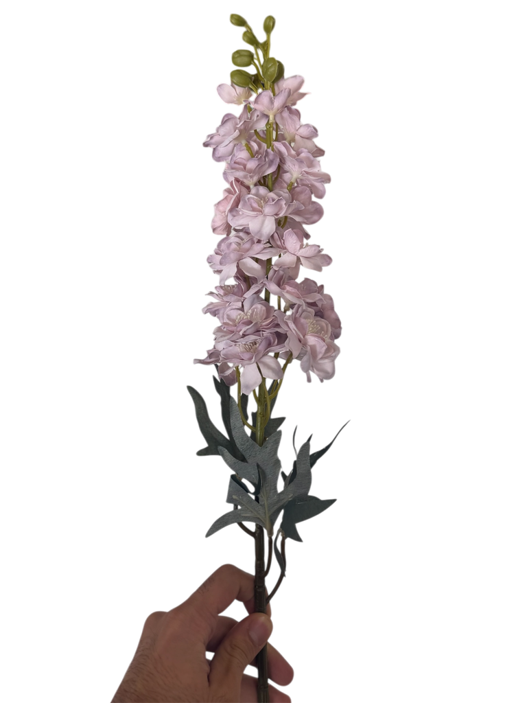 وێستریا مۆر