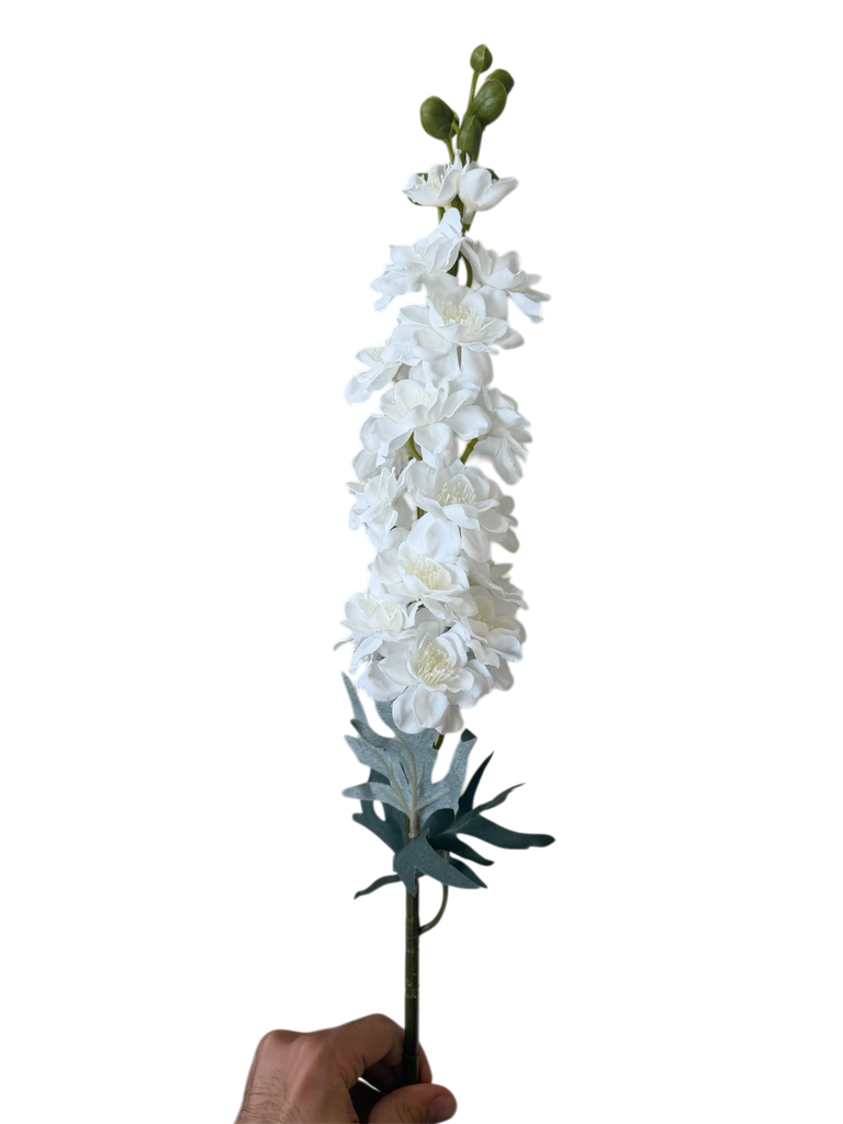 وێستریا سپی