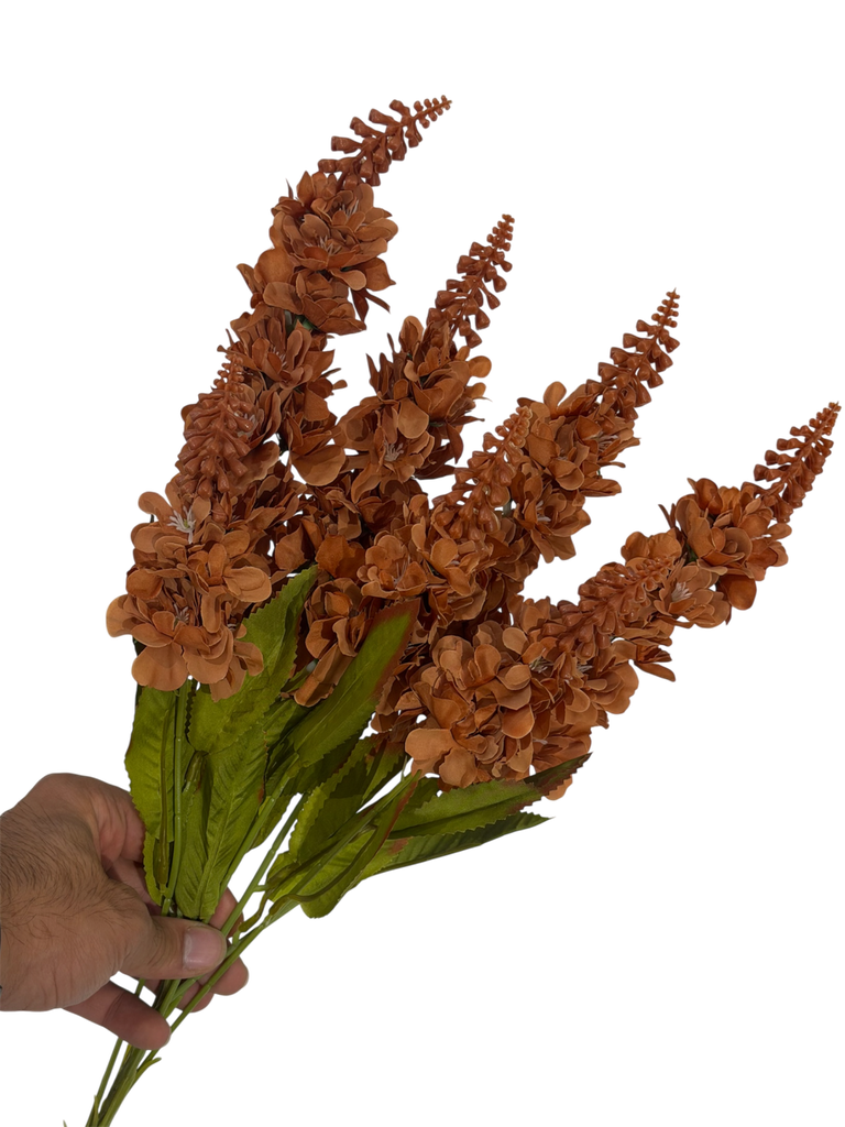 ڕۆزی قاوەیی