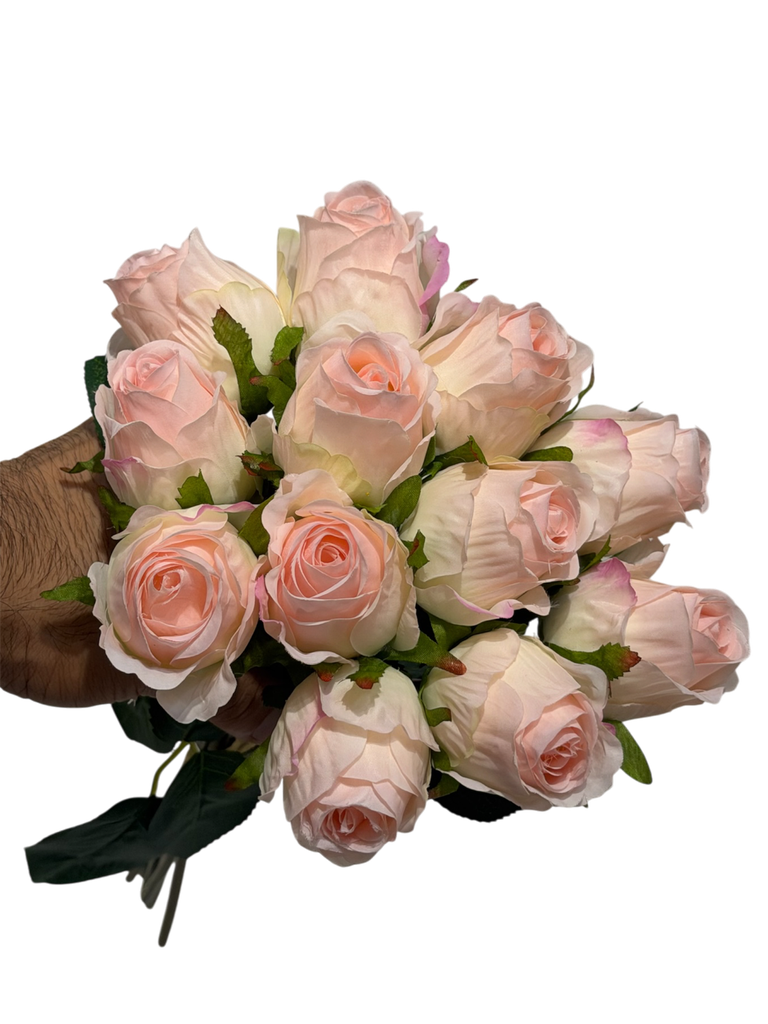 pale pink rose