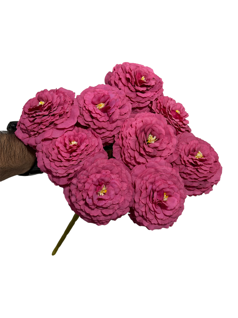 burgundy carnation flower