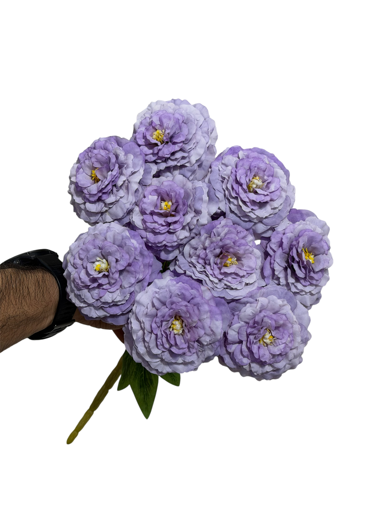 purple carnation flower