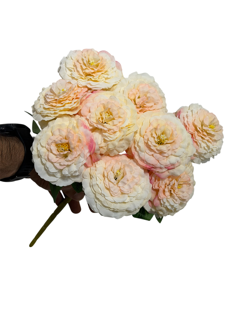 dirty pink carnation flower