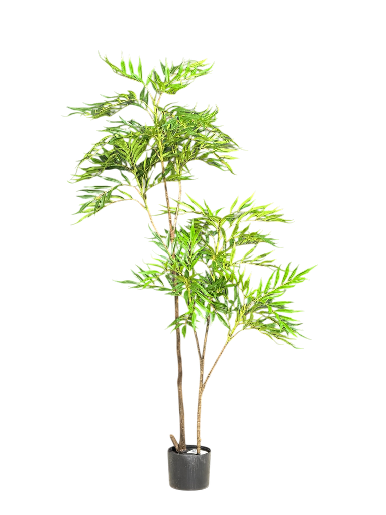 nandina tree 150cm