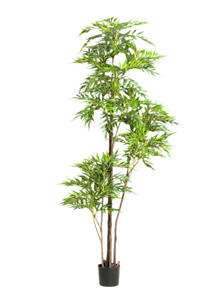 nandina tree 210cm