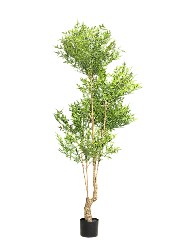 شجرة ناندينا بطول 180 سم