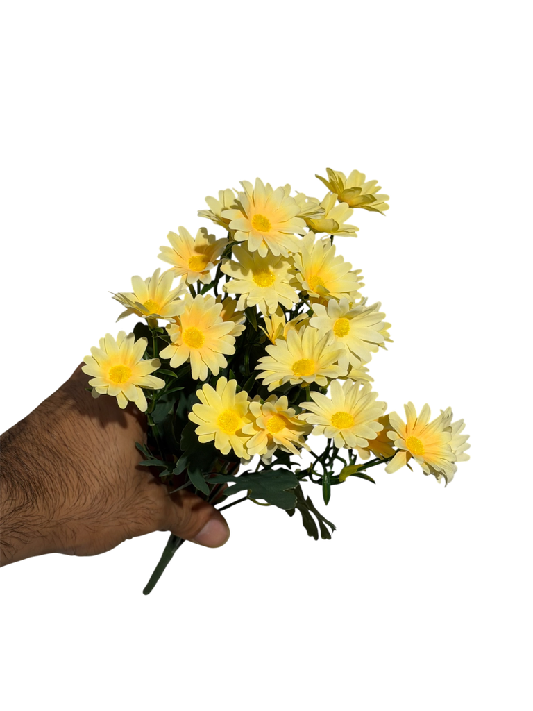 yellow daisy
