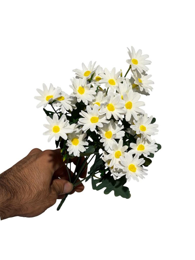 white daisy