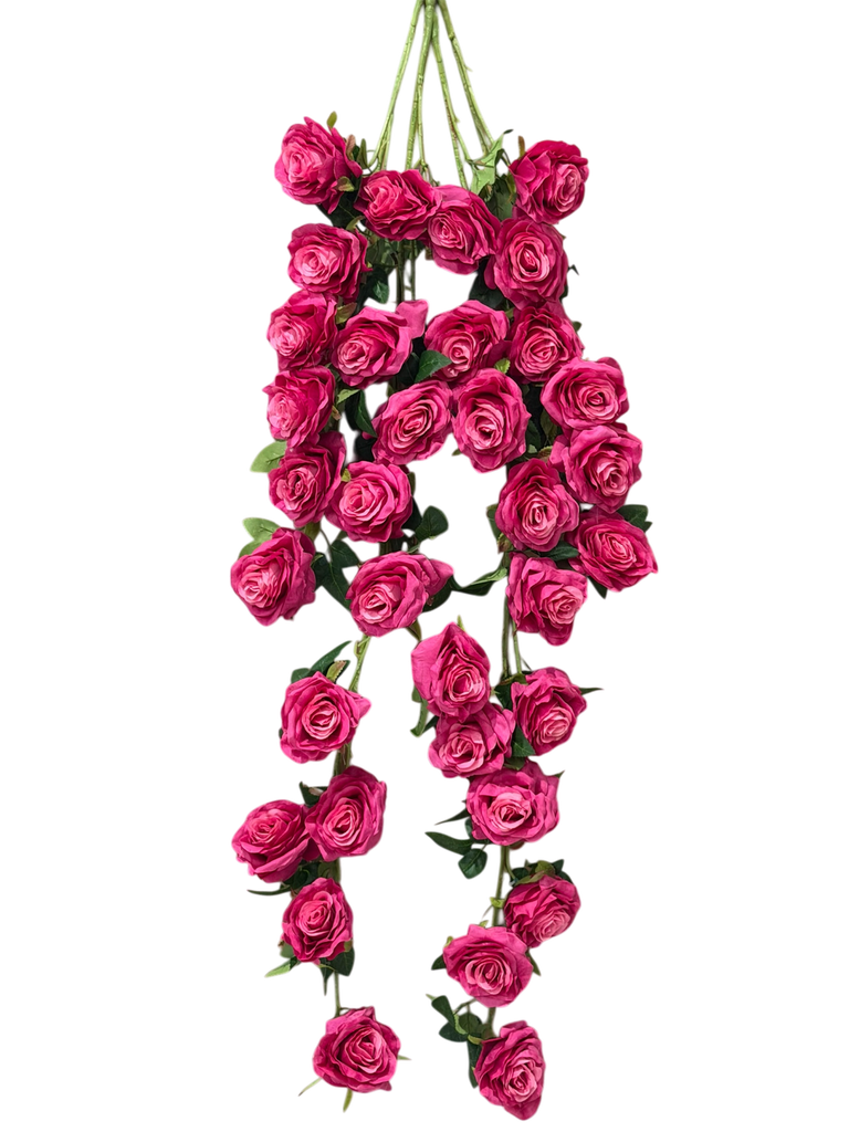 burgundy tall rose