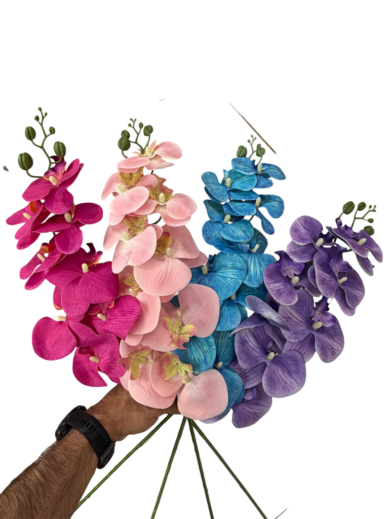 orchid